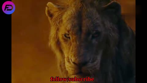 Simba the lion king fight for his kingdoom animated movie