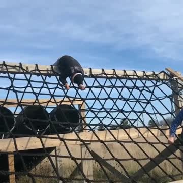 Learning to flip on the cargo net