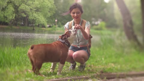 dog crazy for bread