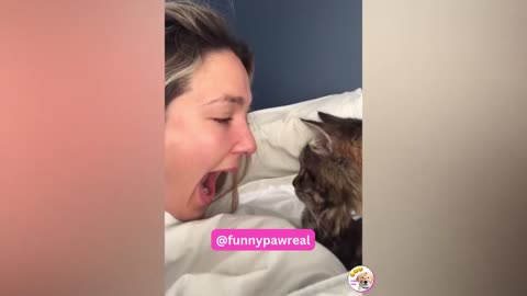 Most Funny Animal Videos - Cutest Animals Ever (1)