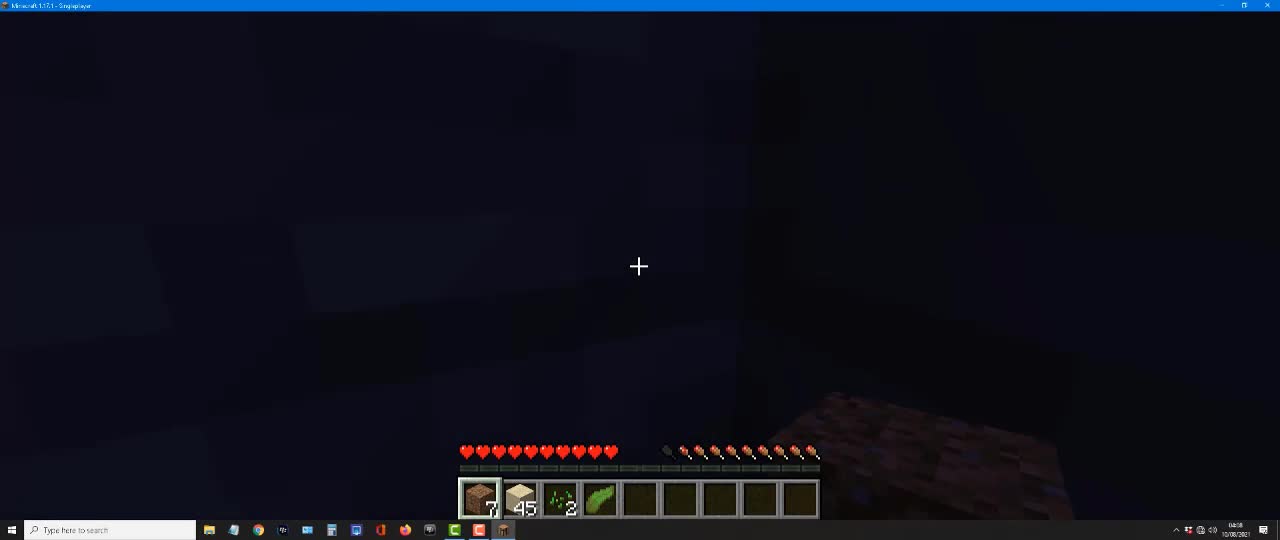 minecraft1.17.1hacks_minecrafthacks_minecrafttiktok_shorts_Short_42