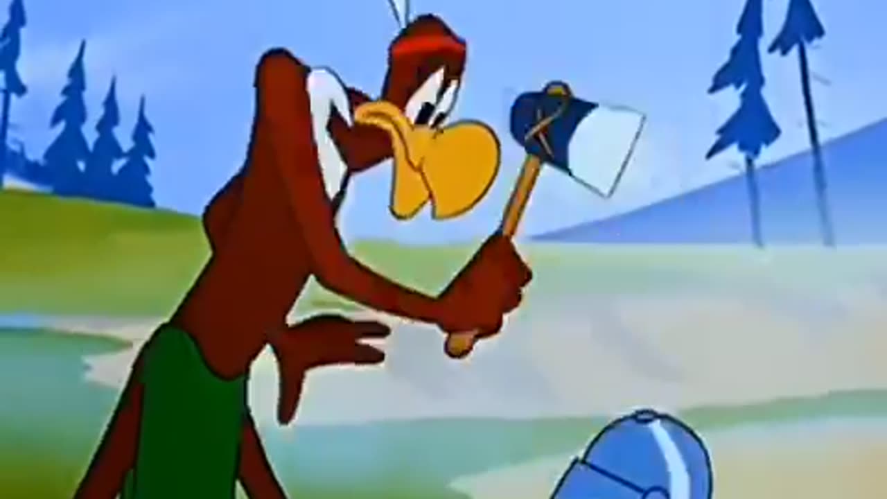 Stupid birds….
