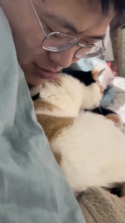 Mama cat introduces her babies to her dad 😊