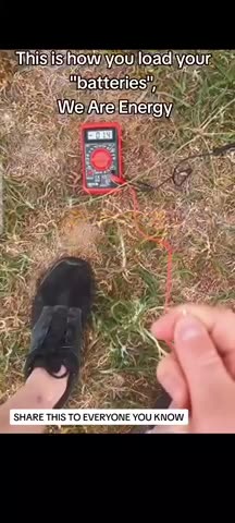 The ground is electric...