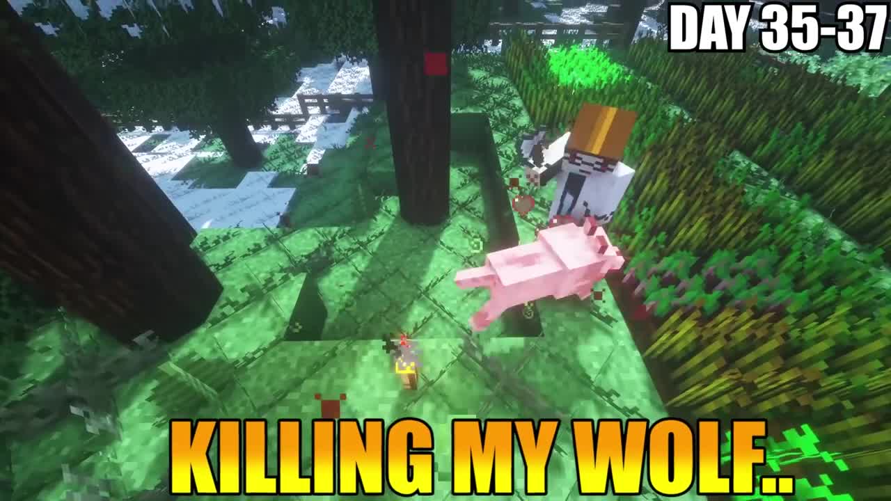 Minecraft my time in Modded Jurrasic Park