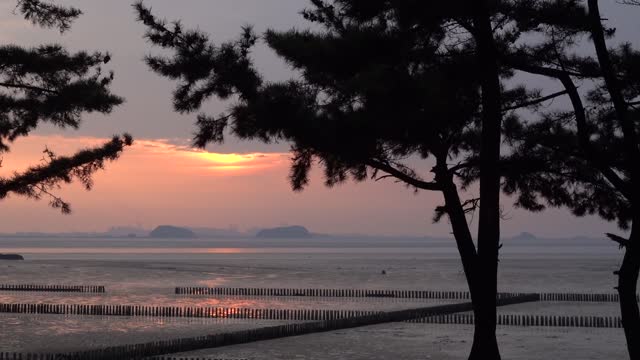 Red sunset and drained sea