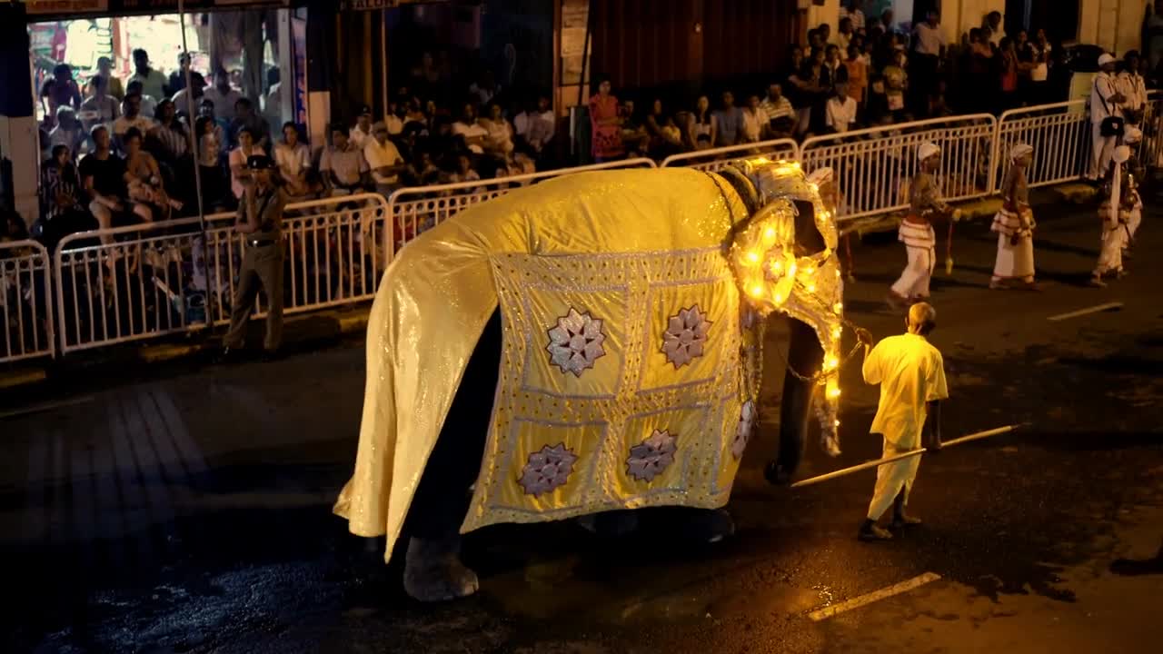 Elephant dressed in shimmering robe taking part with dancers