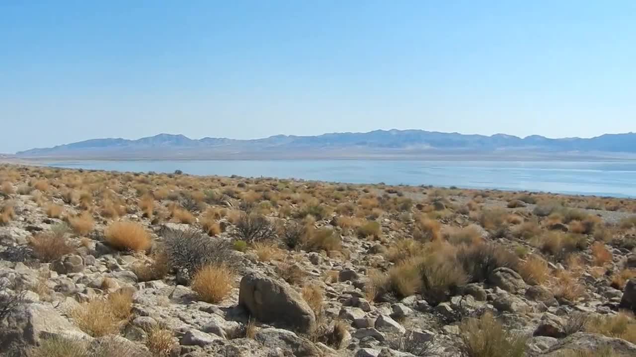 Nevada Desert Traffic Jam