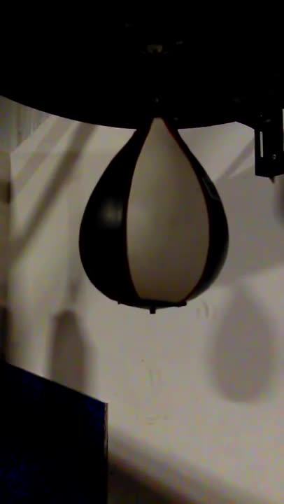 Speed bag