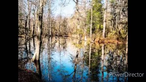 Lake waccamaw