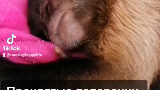 Is it good morning?!