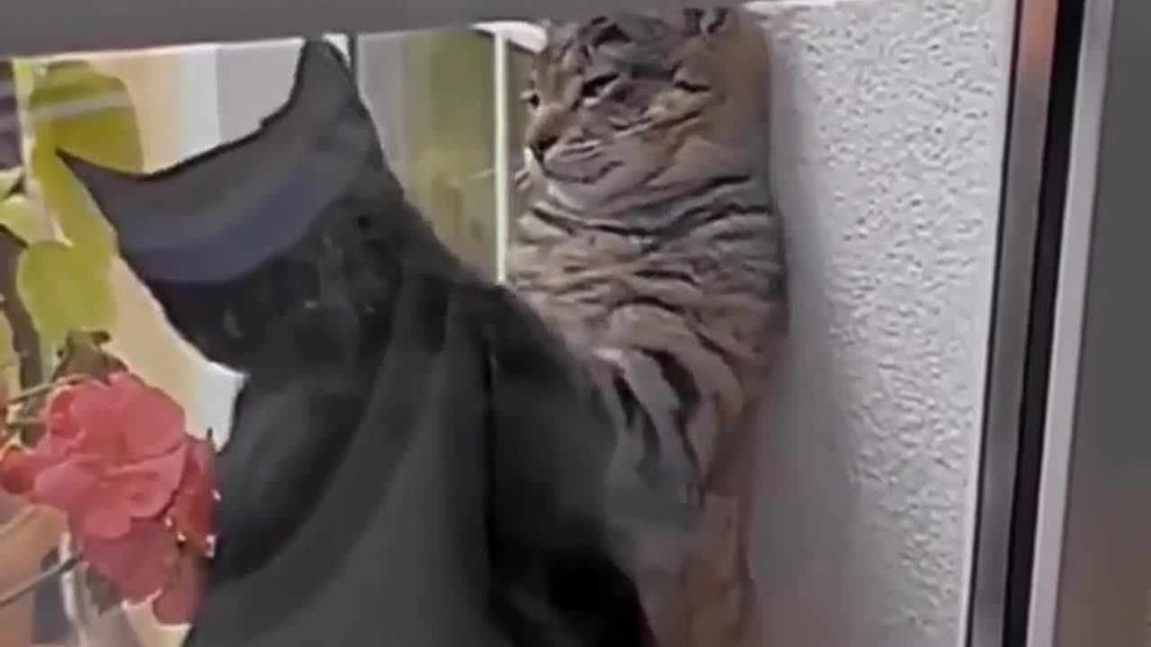 Όχι τώρα, έχω πονοκέφαλο!!