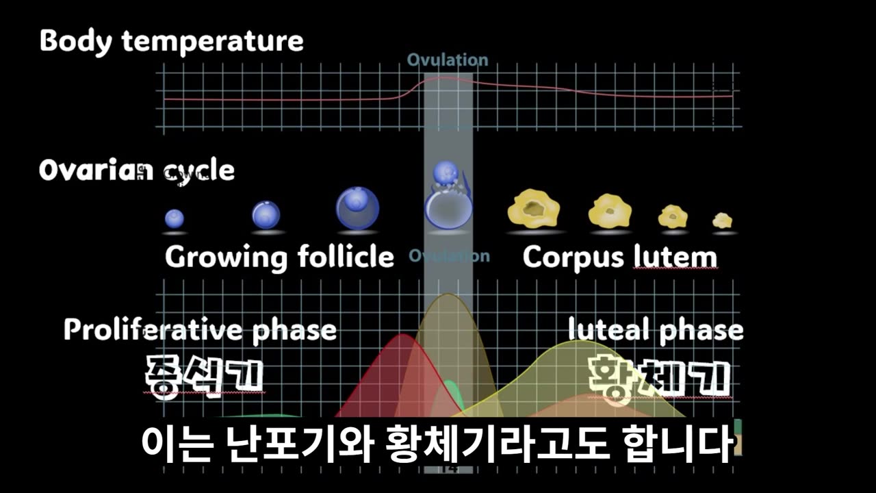 소음인임신실패후 자연임신, 반룡인수한의원, 강남구청역, 한태영원장님, 사상의학