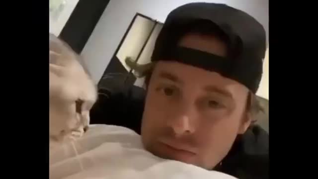 Funniest Animals 🐧 - Funny animal videos can't help but laugh 2021 😁 - Cutest Animals Ever