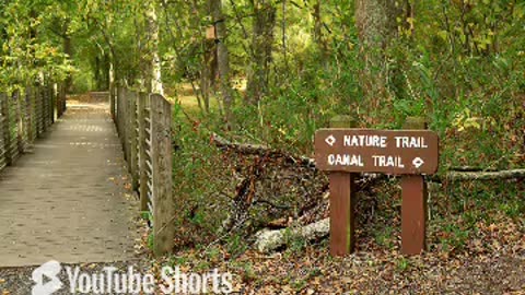 Landsford canal state park