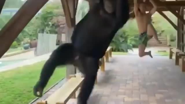 Man with a monkey