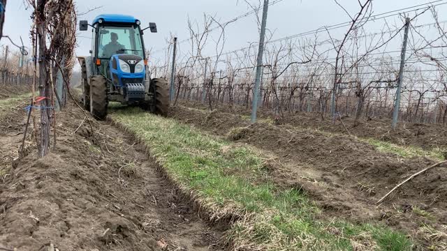 Fertilizing the vineyard using a Vicon Pendulum Spreader and Landini Rex110F