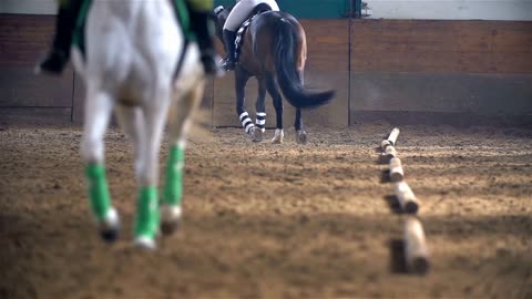 Horses Galloping in Big Hall