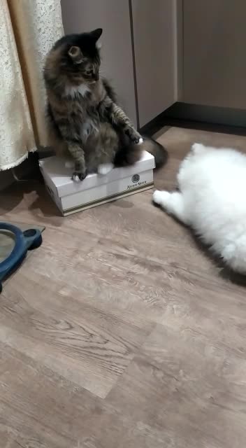 I'm not afraid of you anymore)