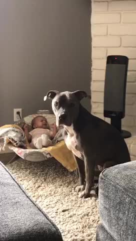 Regretting ever asking for a sibling