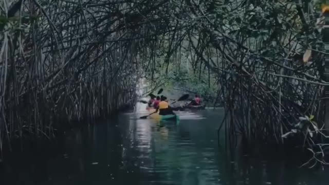 Natural stream of beautiful river