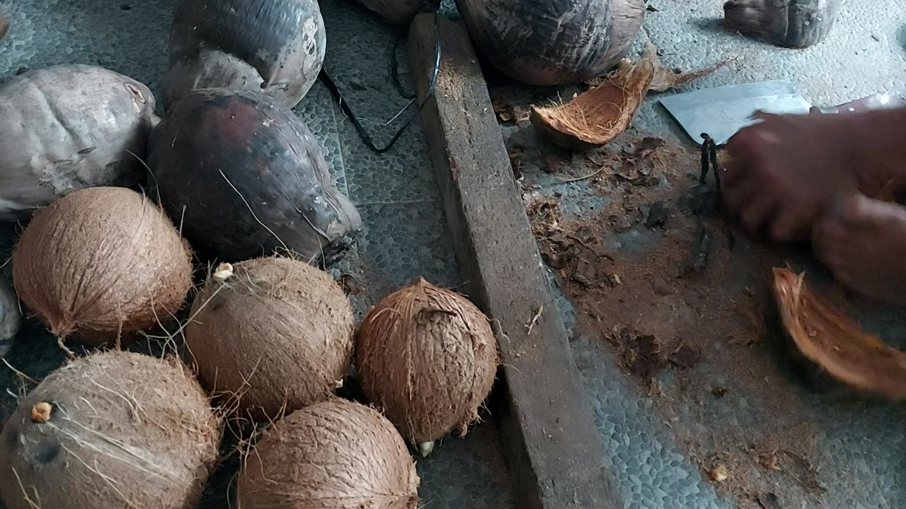 Peeling coconuts