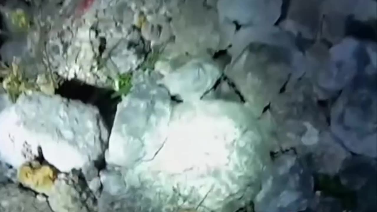 The Python Hunter Discovers A Satanic Ritual Site