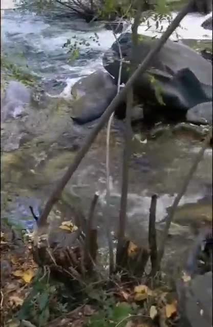 Enjoy it! Down the stream