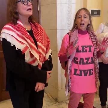 'Comedic Choir Of Fellow Misfits': Susan Sarandon Leads A Chorus Of 'Let Gaza Live'