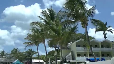 Barbados Butterfly beach