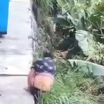 Fell down a crevasse while taking a piss || akibat kencing sembarangan