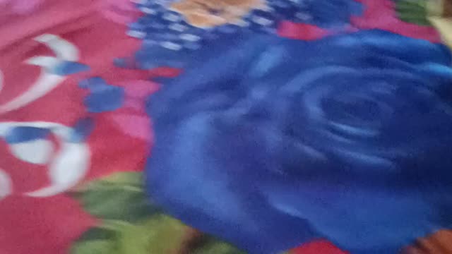 My lovely bed