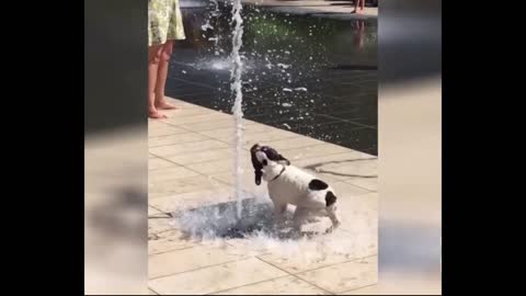 he has fun with the water jets