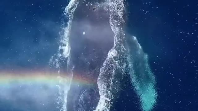 Seriously just wait for it!