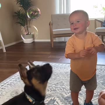 it's the little things in life