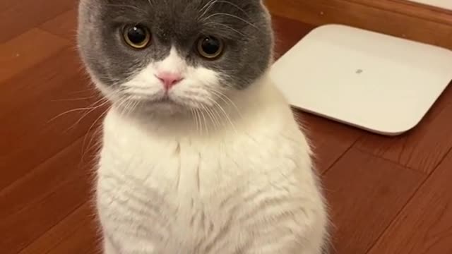 Don't have snacks