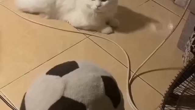 very cute