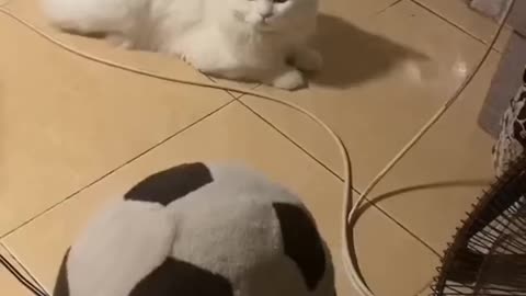 very cute