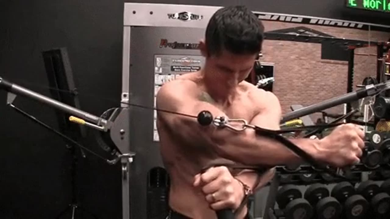 [Chest Workouts]l3xsxDyEogfq5mTyDW