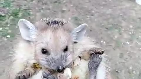 scared and hungry