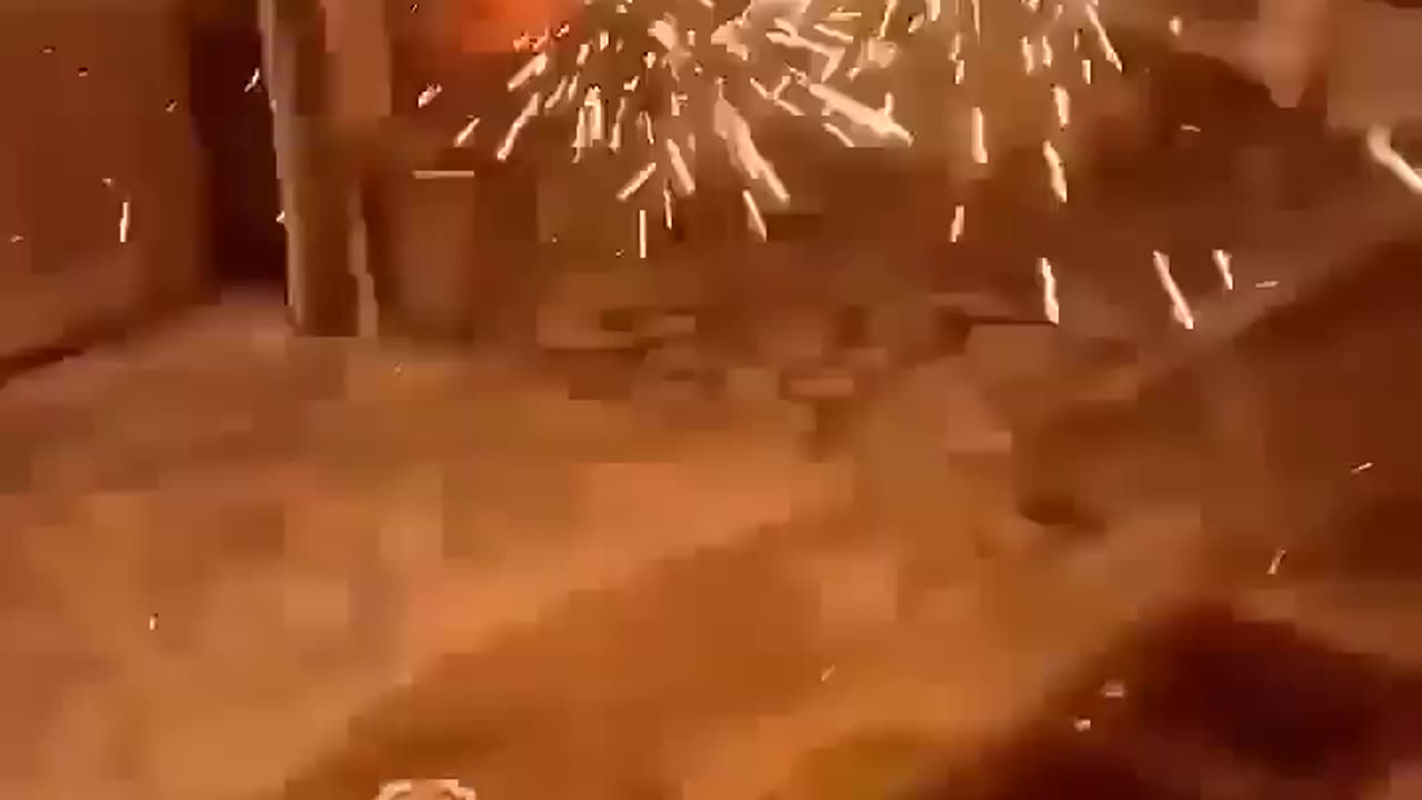 Telented dog 🐕🐕 on enjoy the day funny moments