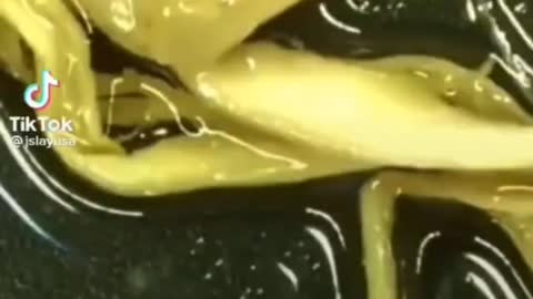 Synthetic Materials Pulled From Cadavers