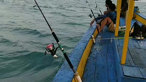 Indah ya laut indonesia dengan kekayaan ya,,mancing mania banten