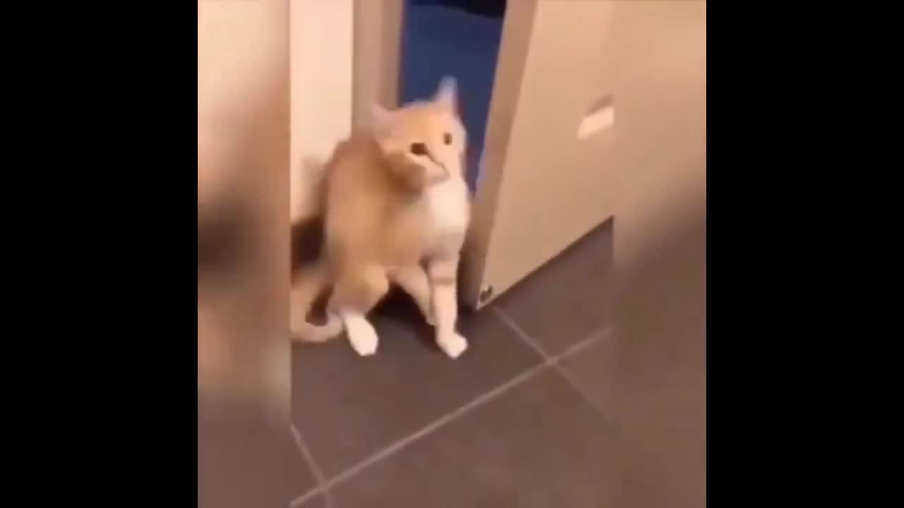 Door Closure