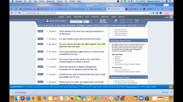 THE N.W.O COMMENCES...