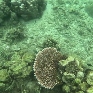 Underwater World, Amazing view