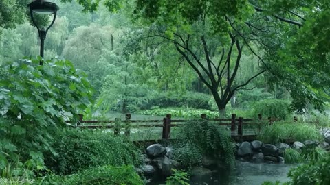 The wooden bridge on the small river is raining (8) sleep, relax, meditate, study, work, ASMR