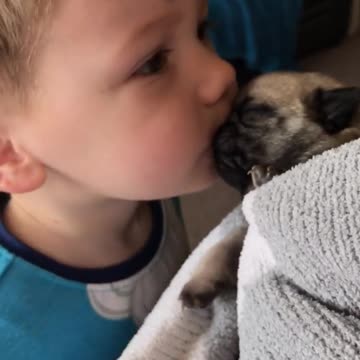 Pequeño niño besa a un pug recién nacido