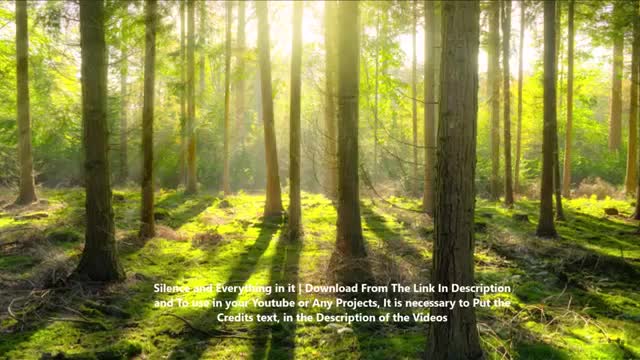 Healing Song - Meditation Song Relaxing - Stress Relief Song - Music to sleep quickly - 1 hour(360p)