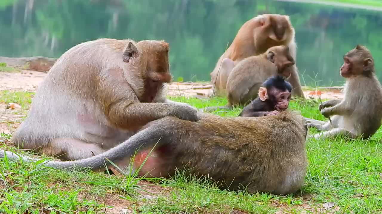 Branda talks to Ella